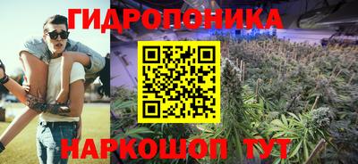 PSILOCYBIN Кинель